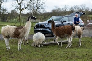 Peter Wright, The Yorkshire Vet, uses his hybrid Toyota Highlander on his visit to Monk Park Farm, near Thirsk in North Yorkshire