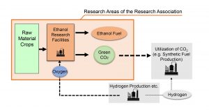 Research areas of the Research Association of Biomass Innovation for Next Generation Automobile Fuels