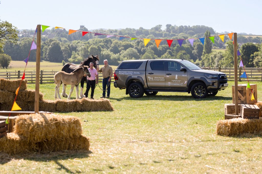 Rob and Dave (pink shirt) Nicholson with shire horses, three-month-old Rosie and mum 14-year-old Orchid with their Hilux Invincible X, at Cannon Hall Farm, South Yorkshire.