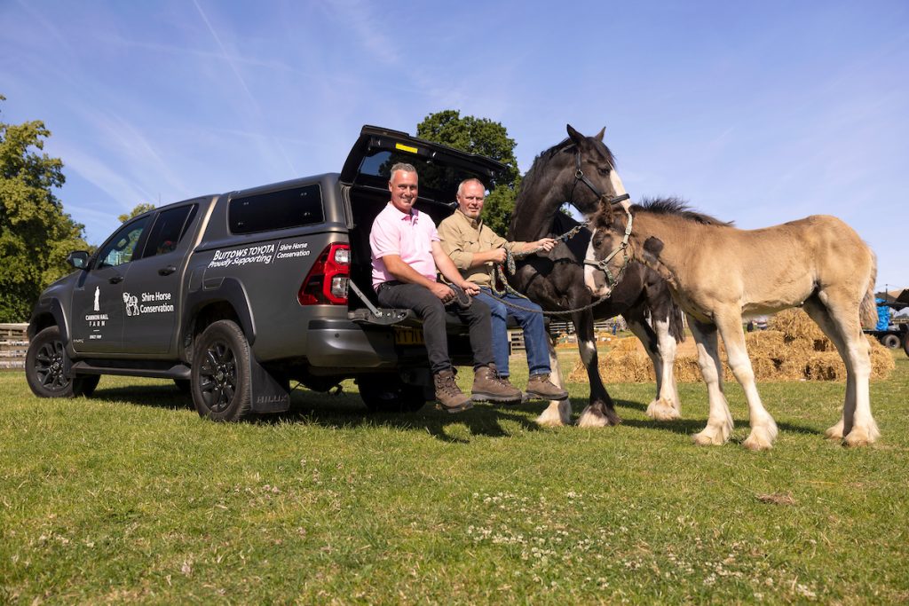 Rob and Dave (pink shirt) Nicholson with shire horses, three-month-old Rosie and mum 14-year-old Orchid, with their Hilux Invincible X, at Cannon Hall Farm, South Yorkshire.