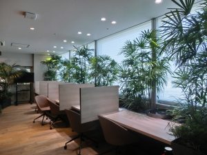 Toyota’s Frontier Research Centre recreated a forest environment in their research laboratory at the Toyota headquarters in Aichi prefecture in Japan in a bid to discover the scientific reasons for how nature can make us feel more relaxed.