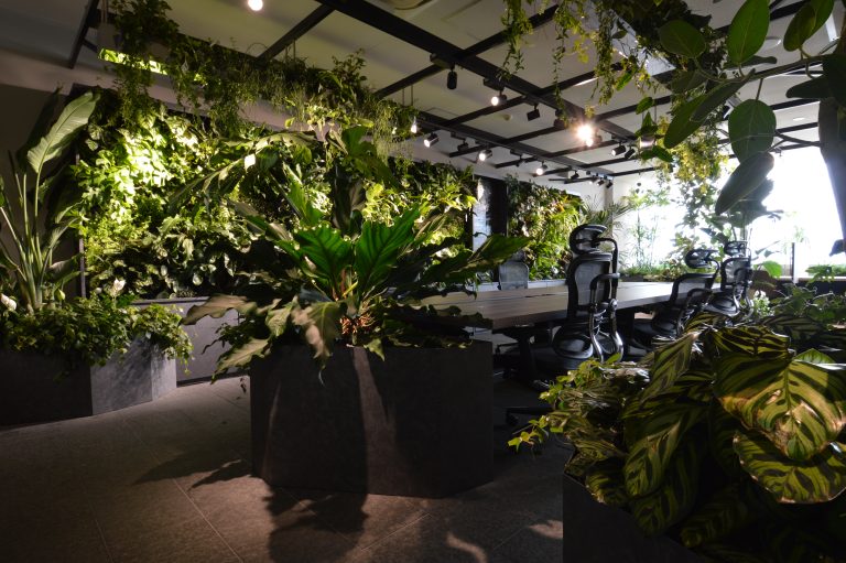 Toyota’s Frontier Research Centre recreated a forest environment in their research laboratory at the Toyota headquarters in Aichi prefecture in Japan in a bid to discover the scientific reasons for how nature can make us feel more relaxed.