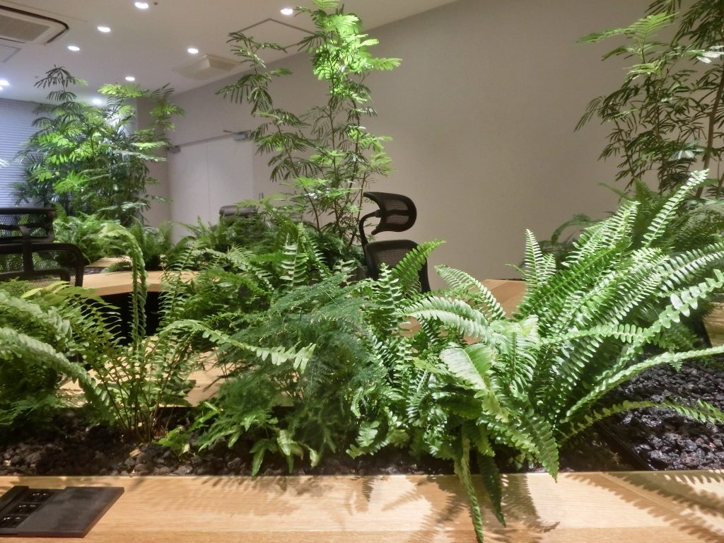 Toyota’s Frontier Research Centre recreated a forest environment in their research laboratory at the Toyota headquarters in Aichi prefecture in Japan in a bid to discover the scientific reasons for how nature can make us feel more relaxed.