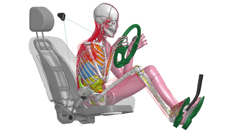 Toyota achieves greater test crash simulation with latest THUMS advance in computer modelling of the human body.
