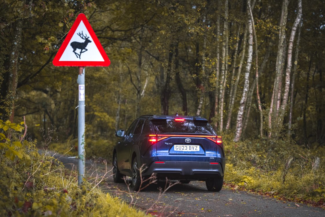 Autumn coincides with deer breeding season, so be extra careful driving through rural and wooded areas