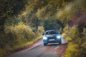 Autumn leaves can become a skid risk on wet roads, potentially obscuring road markings, or masking potholes