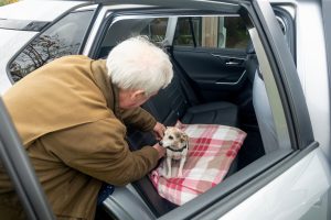 The Yorkshire Vet, Peter Wright, with 11-year-old Jack Russell Terrier, Moomin, in his Toyota RAV4. All Rights Reserved: RKP Photography [Formerly F Stop Press Ltd].