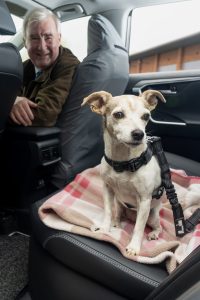 The Yorkshire Vet, Peter Wright, with 11-year-old Jack Russell Terrier, Moomin, in his Toyota RAV4. All Rights Reserved: RKP Photography [Formerly F Stop Press Ltd].