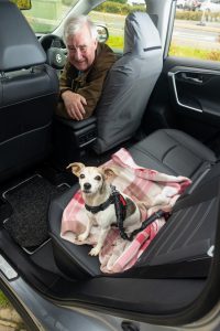 The Yorkshire Vet, Peter Wright, with 11-year-old Jack Russell Terrier, Moomin, in his Toyota RAV4. All Rights Reserved: RKP Photography [Formerly F Stop Press Ltd].