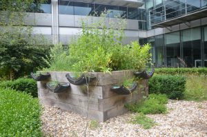 Toyota GB's Eco-HQ at Burgh Heath, near Epsom, Surrey