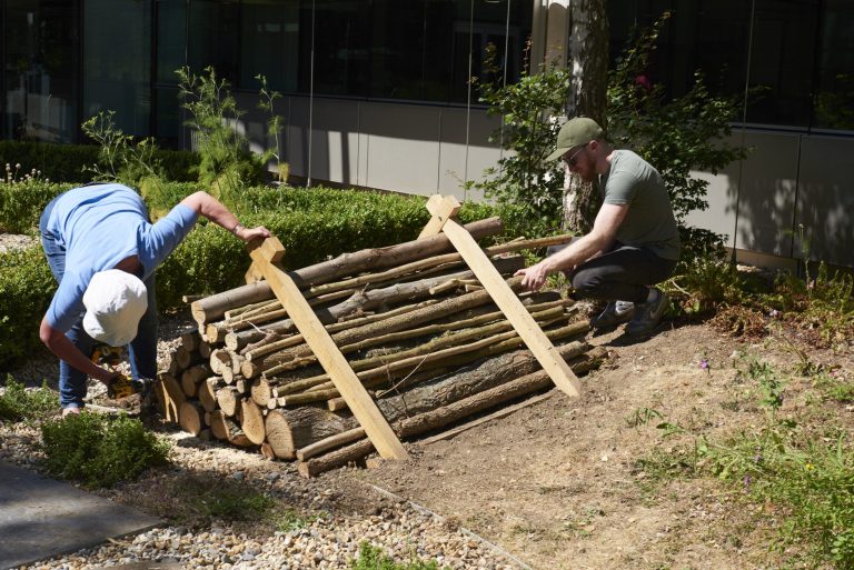 Toyota GB's Eco-HQ at Burgh Heath, near Epsom, Surrey