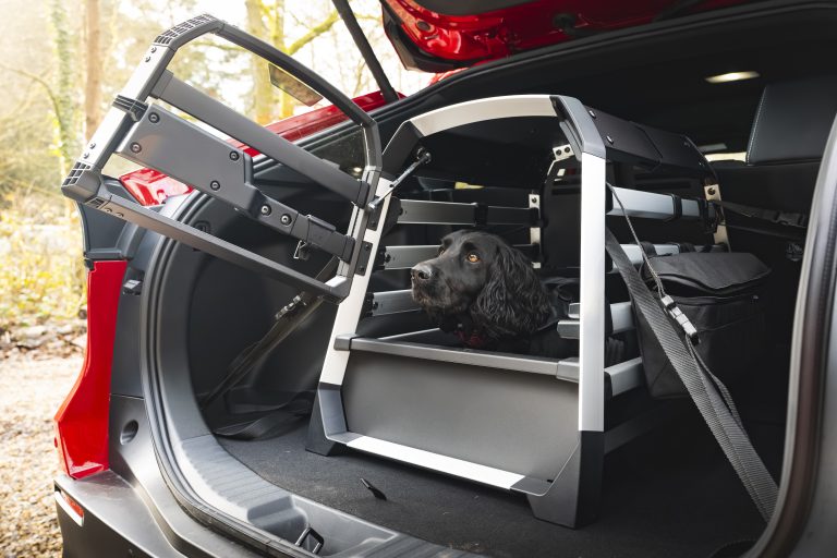 Toyota Centres now stock Thule Allax dog crates (modelled by Oscar in the Toyota bZ4X)