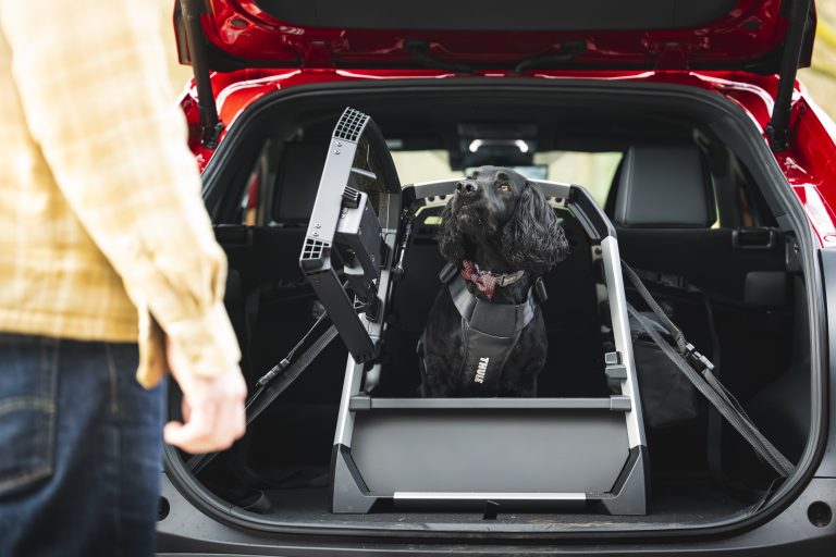 Toyota Centres now stock Thule Allax dog crates (modelled by Oscar in the Toyota bZ4X)