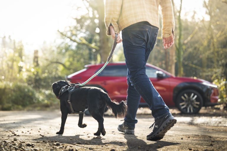 Toyota launches a range of dog travel accessories